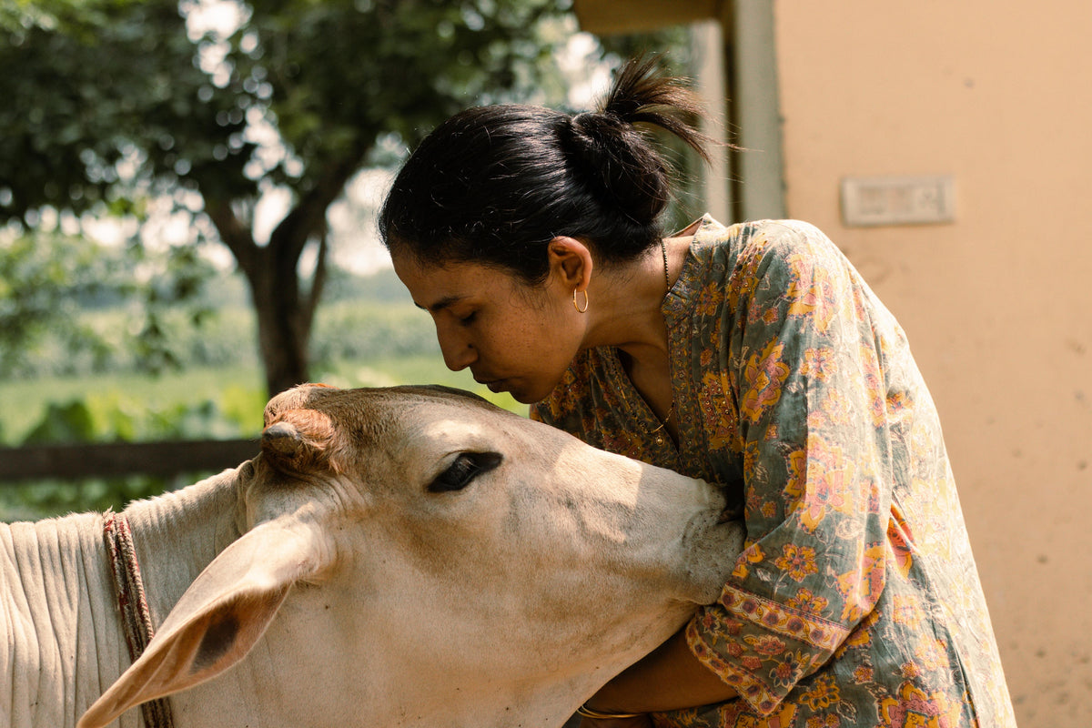 Sudesi's founder, Preeti holding a Hariana cow and caring for her.